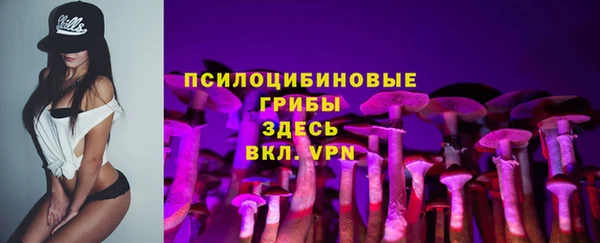 ECSTASY Богданович
