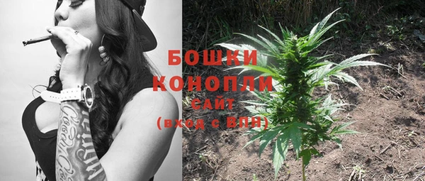ECSTASY Богданович