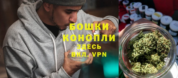 молекула духа Богородск