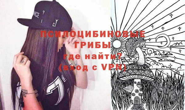 гидра Бронницы