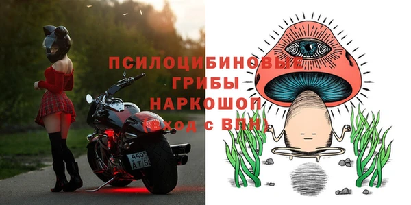 ECSTASY Богданович